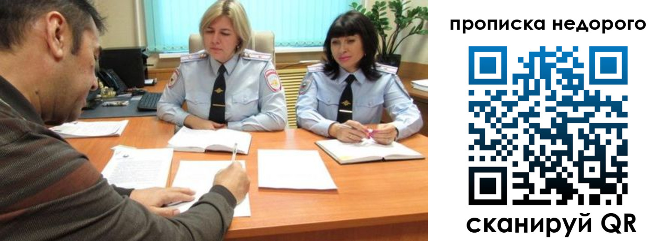 прописка поиск в Белгородской области